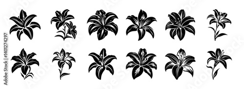 Collection of twelve black and white lily flower illustrations various designs and styles