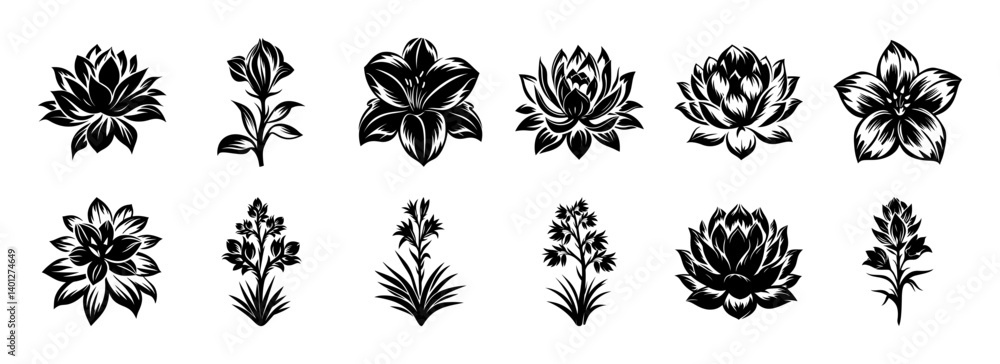 Collection of twelve monochrome floral illustrations botanical art black and white flower designs Collection of twelve monochrome floral illustrations botanical art black and white flower designs