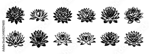 Twelve Black and White Lotus Flower Illustrations Botanical Vintage Style
