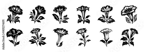 Twelve Black and White Stylized Datura Flower Illustrations Botanical Designs