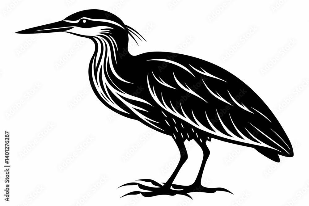 Fototapeta premium American bittern silhouette black vector