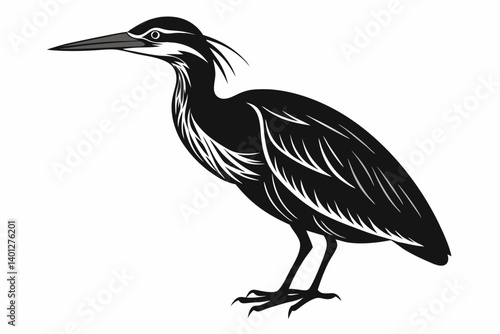 American bittern silhouette black vector