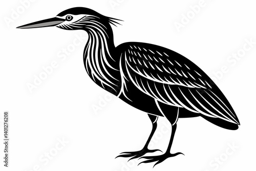American bittern silhouette black vector