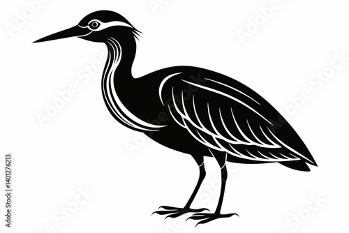 American bittern silhouette black vector
