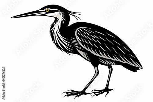 American bittern silhouette black vector