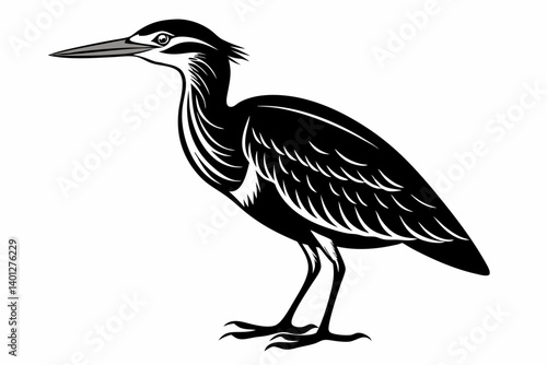 American bittern silhouette black vector