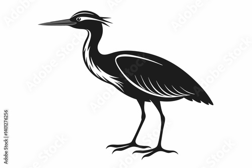 American bittern silhouette black vector