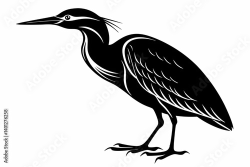 American bittern silhouette black vector