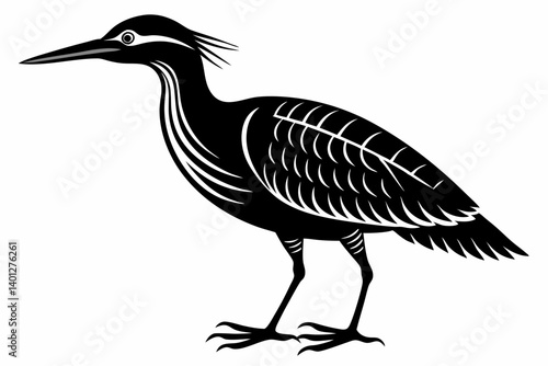 American bittern silhouette black vector