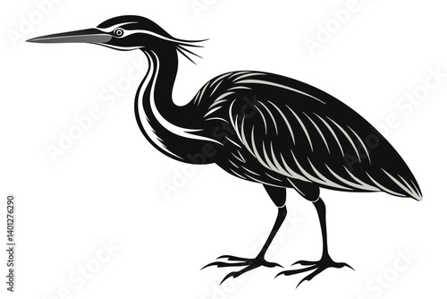 American bittern silhouette black vector