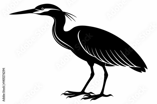 American bittern silhouette black vector