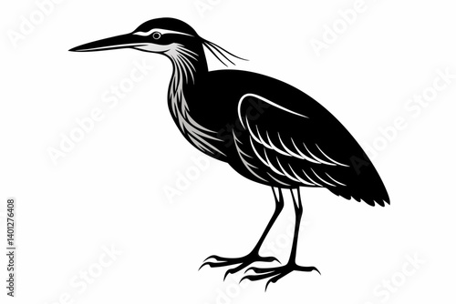American bittern silhouette black vector