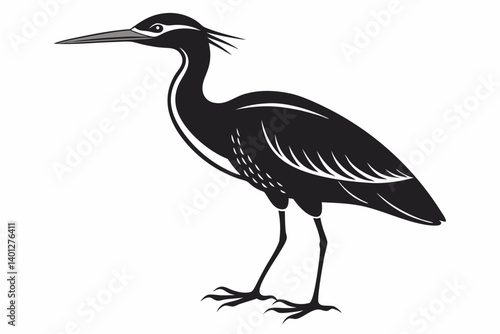 American bittern silhouette black vector