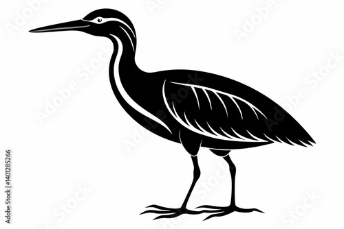 american bittern sihouette black vector