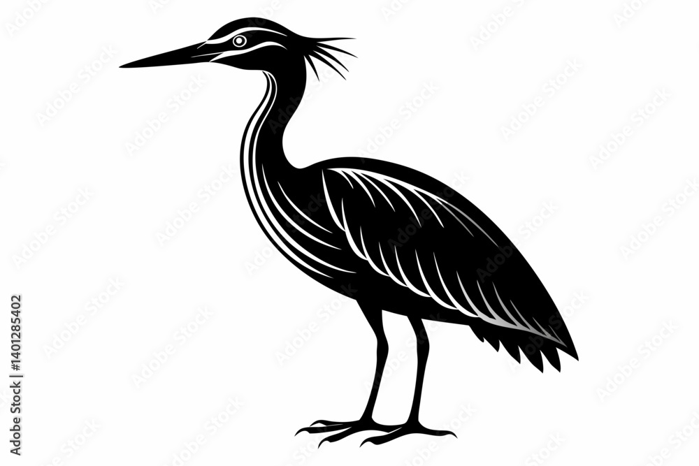 american bittern sihouette black vector american bittern sihouette black vector