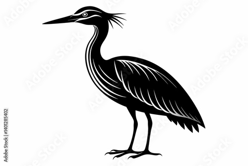 american bittern sihouette black vector