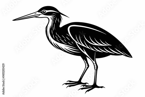 american bittern sihouette black vector