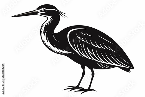 american bittern sihouette black vector