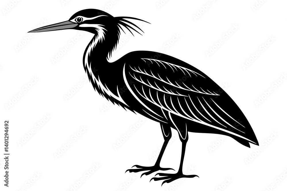 Fototapeta premium american bittern sihouette black vector