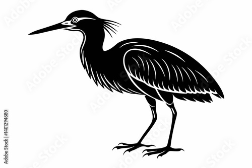 american bittern sihouette black vector