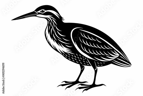 american bittern sihouette black vector
