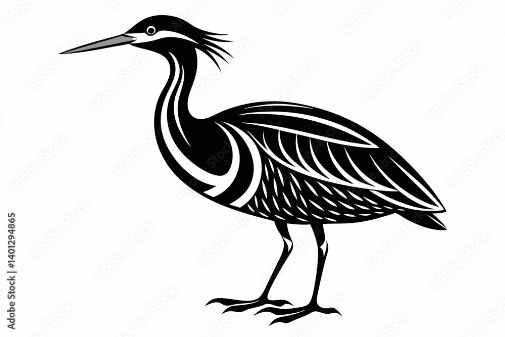 Fototapeta premium american bittern sihouette black vector