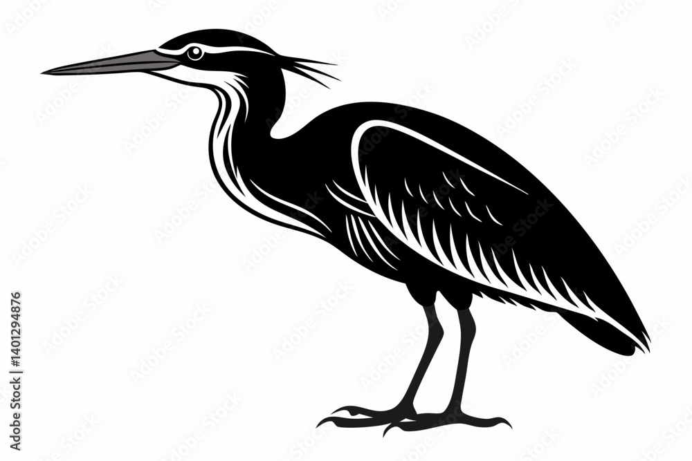 Fototapeta premium american bittern sihouette black vector
