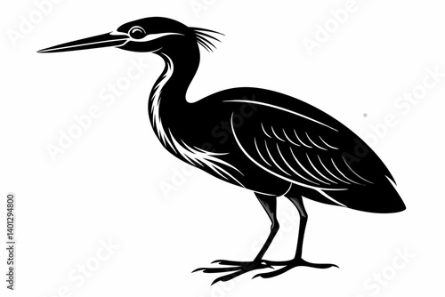 american bittern sihouette black vector