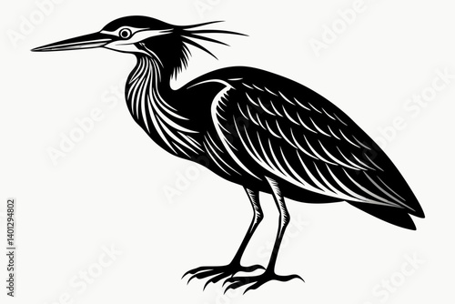 american bittern sihouette black vector