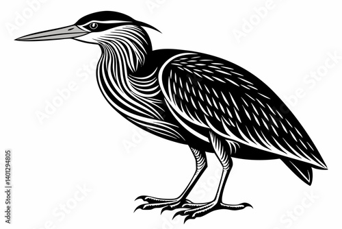 american bittern sihouette black vector