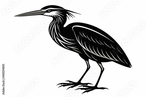 american bittern sihouette black vector