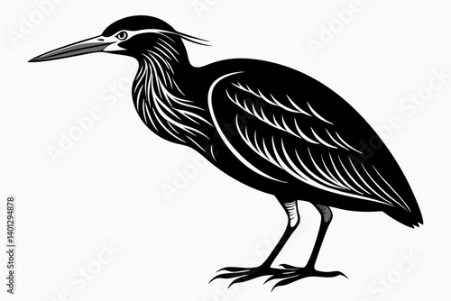 american bittern sihouette black vector