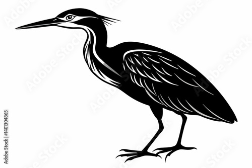 american bittern sihouette black vector