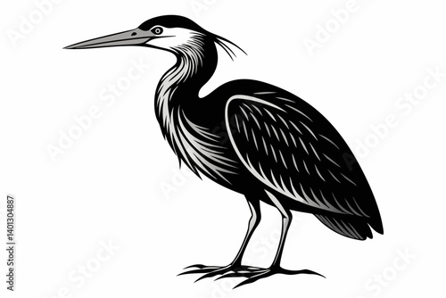 american bittern sihouette black vector