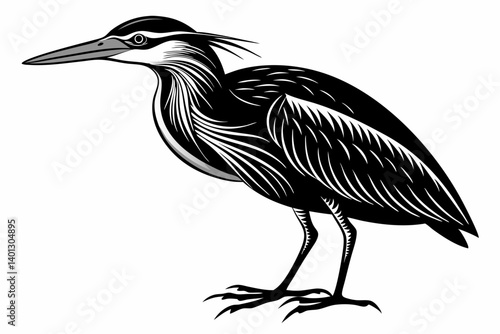 american bittern sihouette black vector