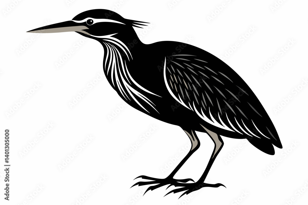 Fototapeta premium american bittern sihouette black vector
