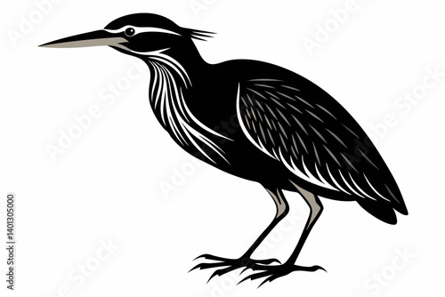 american bittern sihouette black vector