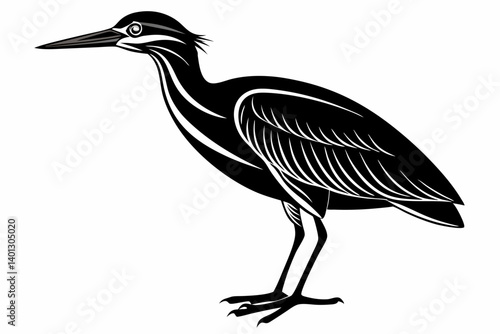 american bittern sihouette black vector