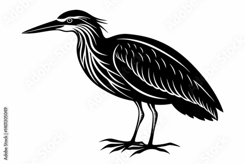 american bittern sihouette black vector