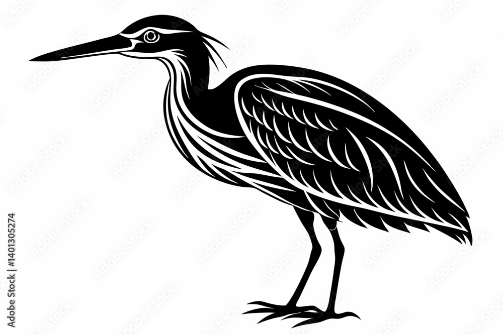 Obraz premium american bittern sihouette black vector