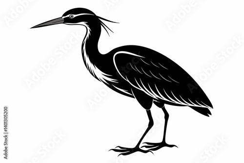 american bittern sihouette black vector