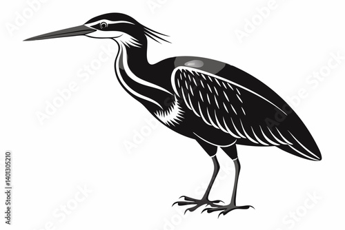 american bittern sihouette black vector