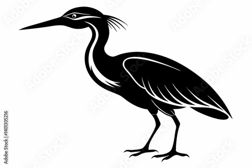 american bittern sihouette black vector