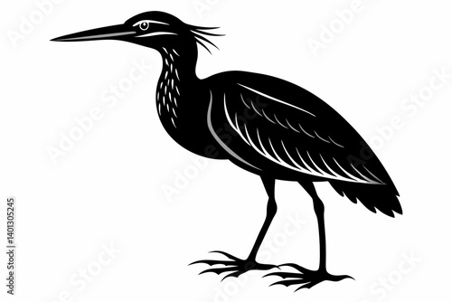 american bittern sihouette black vector