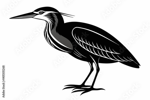 american bittern sihouette black vector