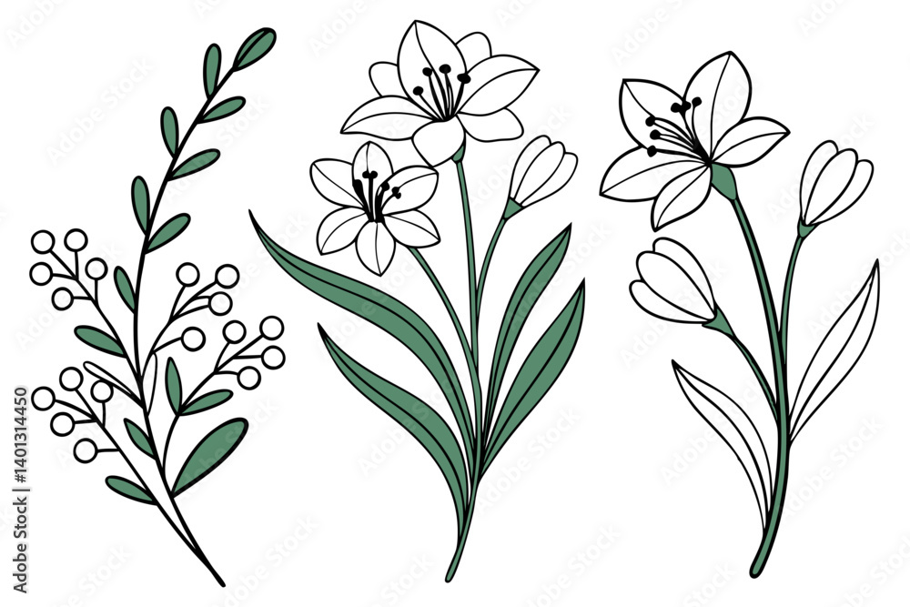 flower vector set flower vector set