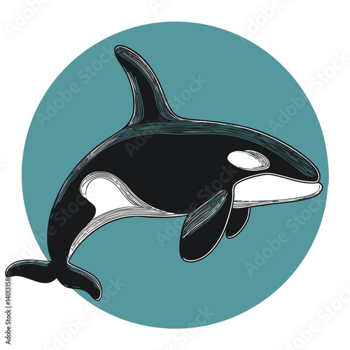 Orca
