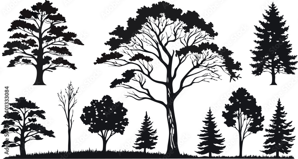Obraz premium Pine Tree Forest Silhouette – Black and White Evergreen Tree line Vector Illustration