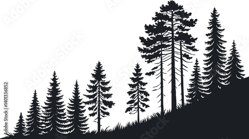 Pine Tree Forest Silhouette – Black and White Evergreen Tree line Vector Illustration