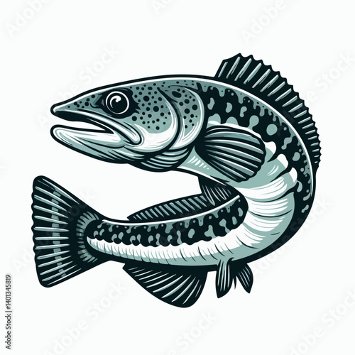 channa fish vector illustration